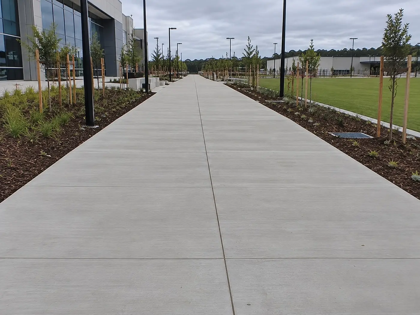 Long straight concrete path lined with new trees and garden beds